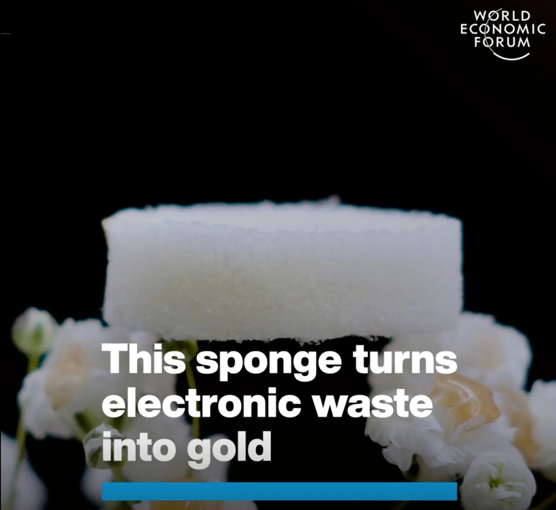 World Economic Forum